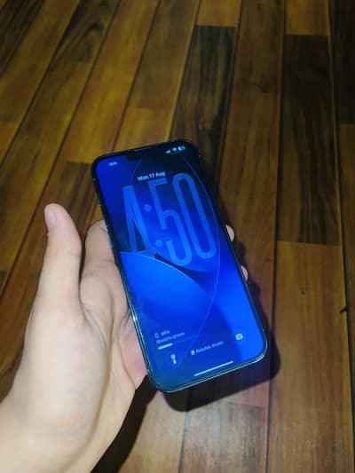 Apple iPhone 13 Pro Max