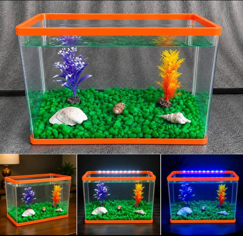 Mini aquarium 1