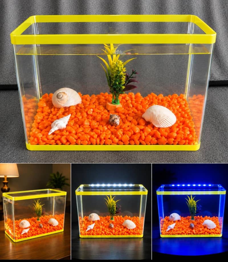 Mini aquarium 2