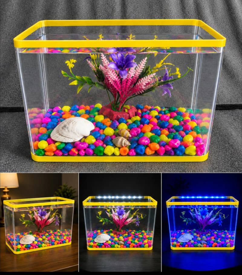 Mini aquarium 4