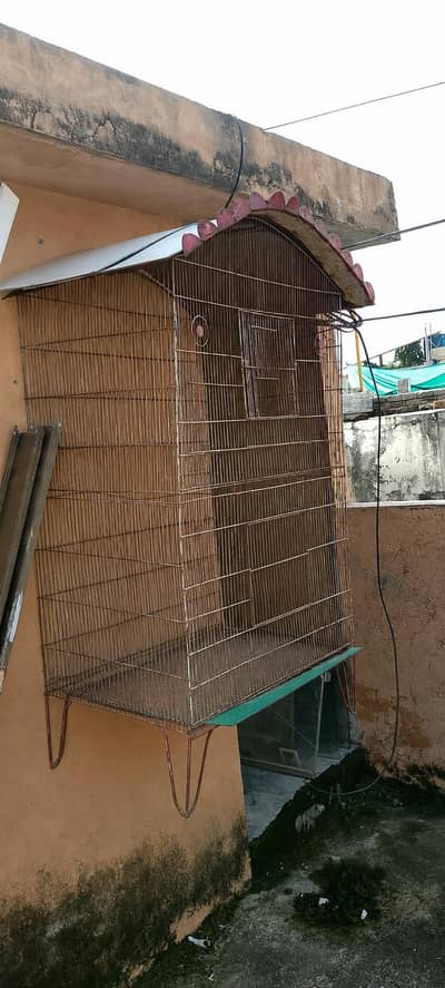 Bird Cage for Sale