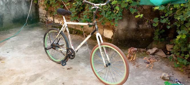 phonex cycle