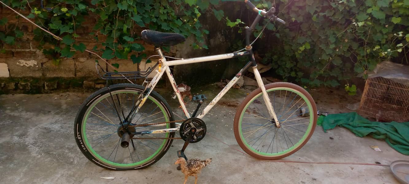 phonex cycle 1