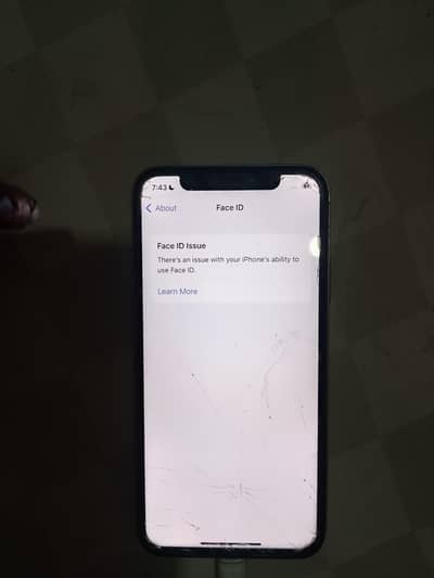 Apple iPhone X