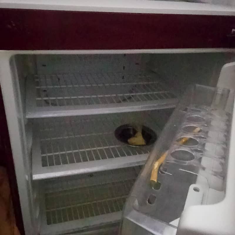 pel refrigrater 1