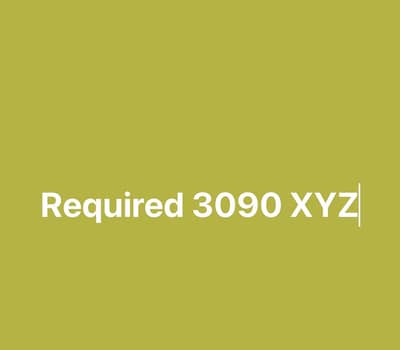 Required RTX 3090