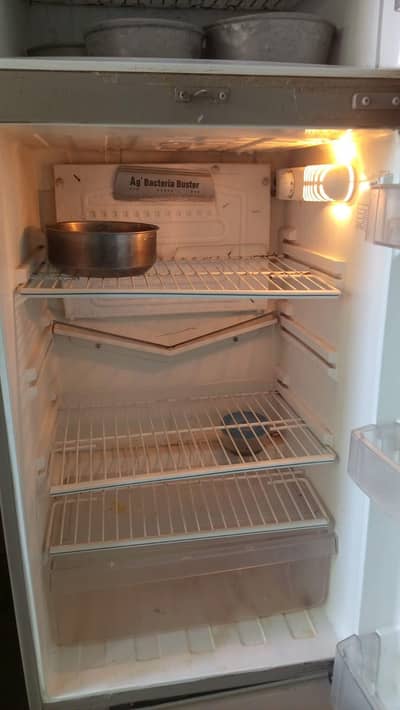 firige for sale