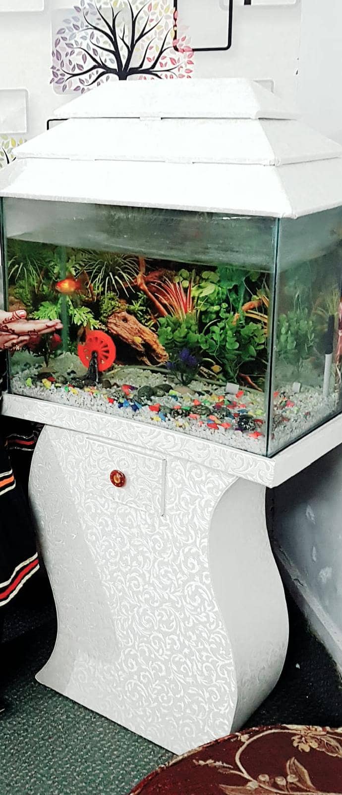 fish aquarium 0