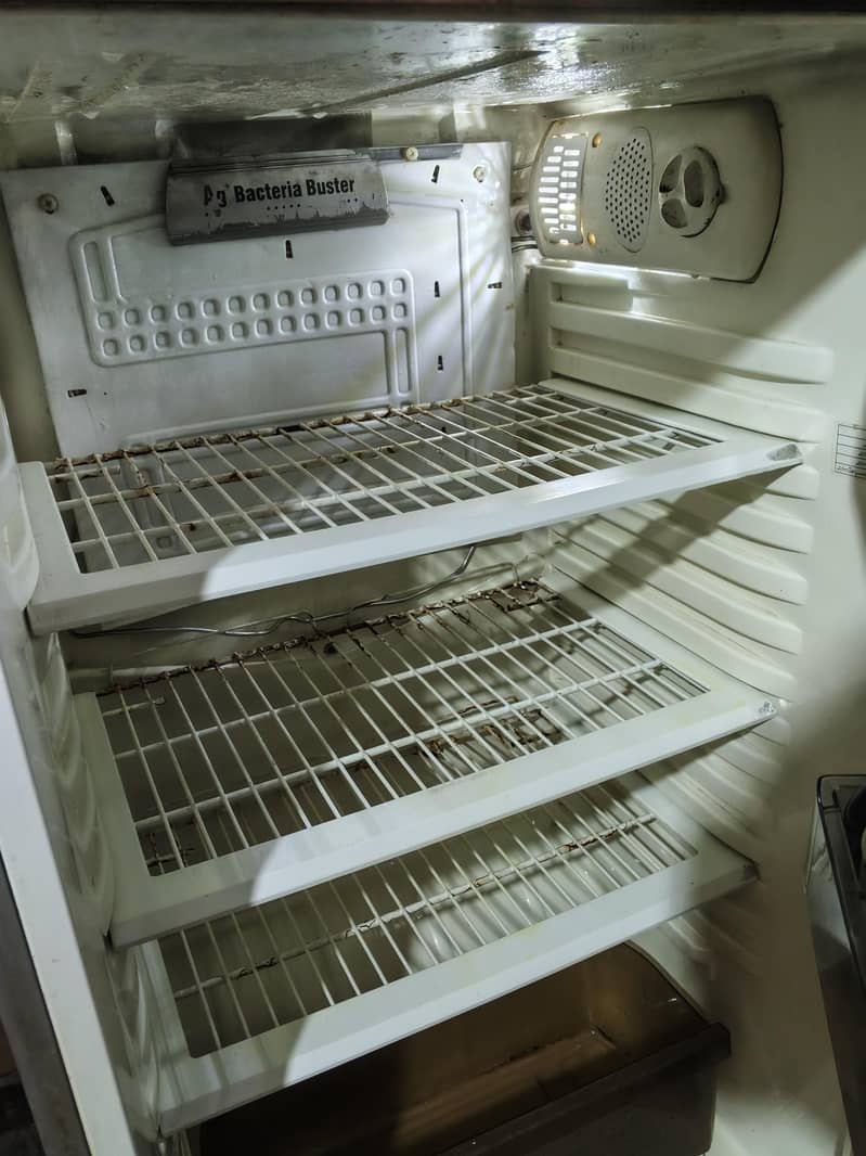 pel fridge 2