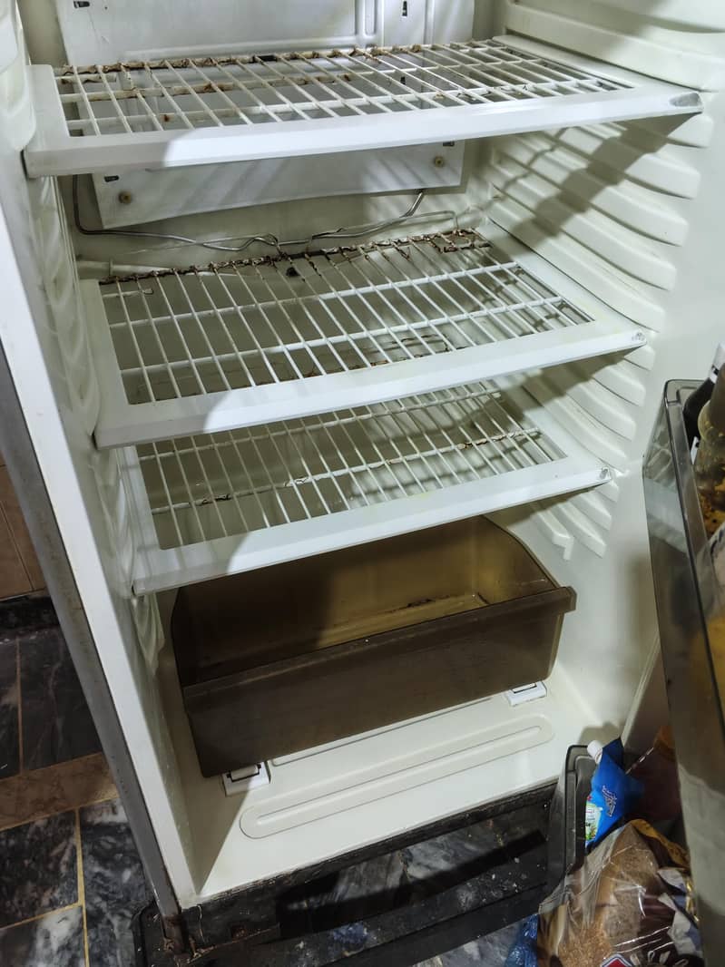 pel fridge 3