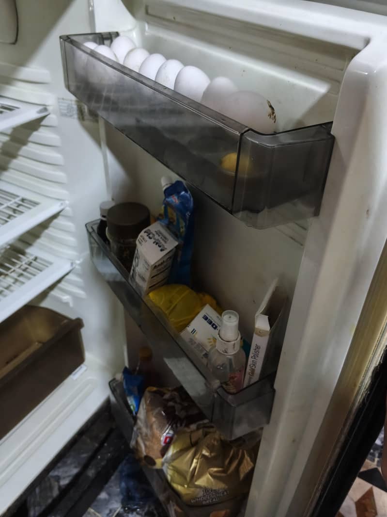 pel fridge 4