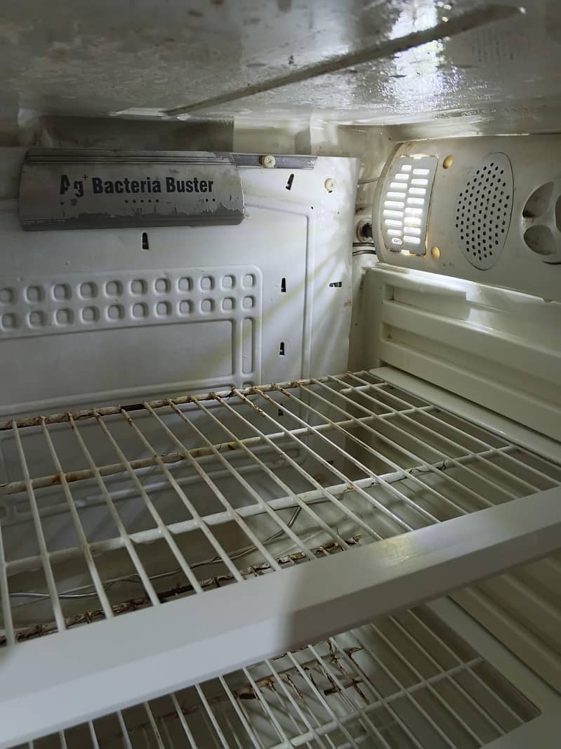 pel fridge 5