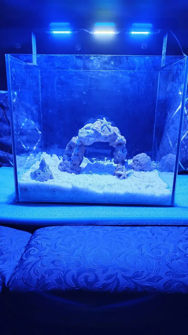 Aquarium Marine theme (New) — photo 2