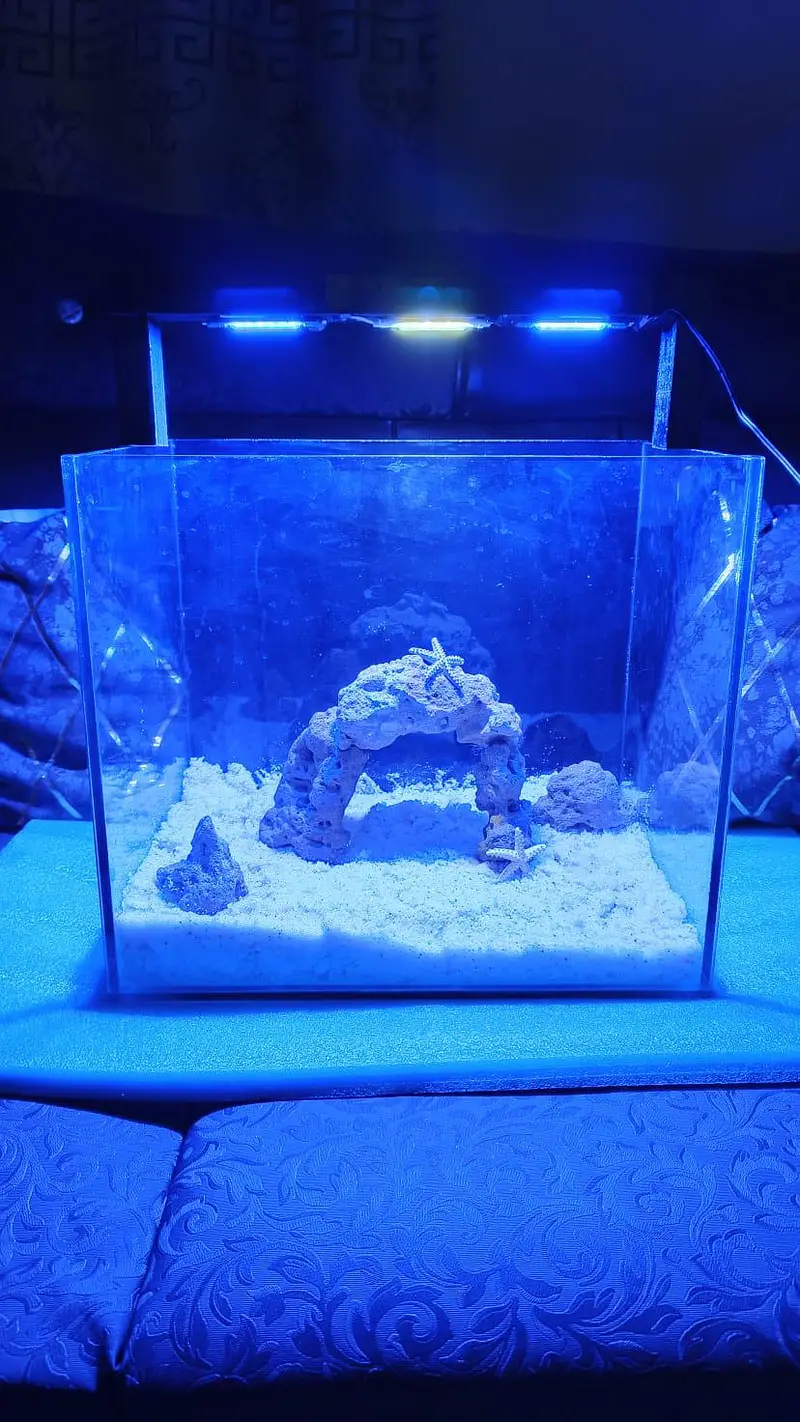 Aquarium Marine theme (New) — photo 3