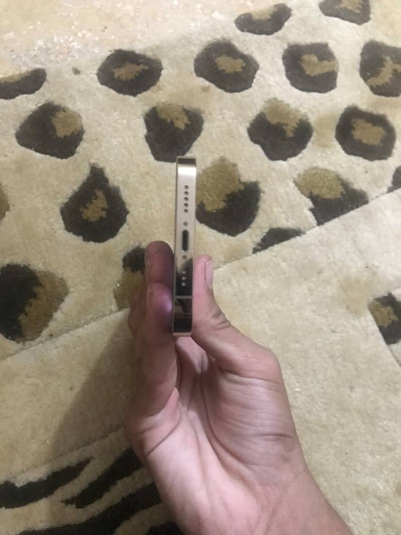 Apple iPhone 13 Pro 4