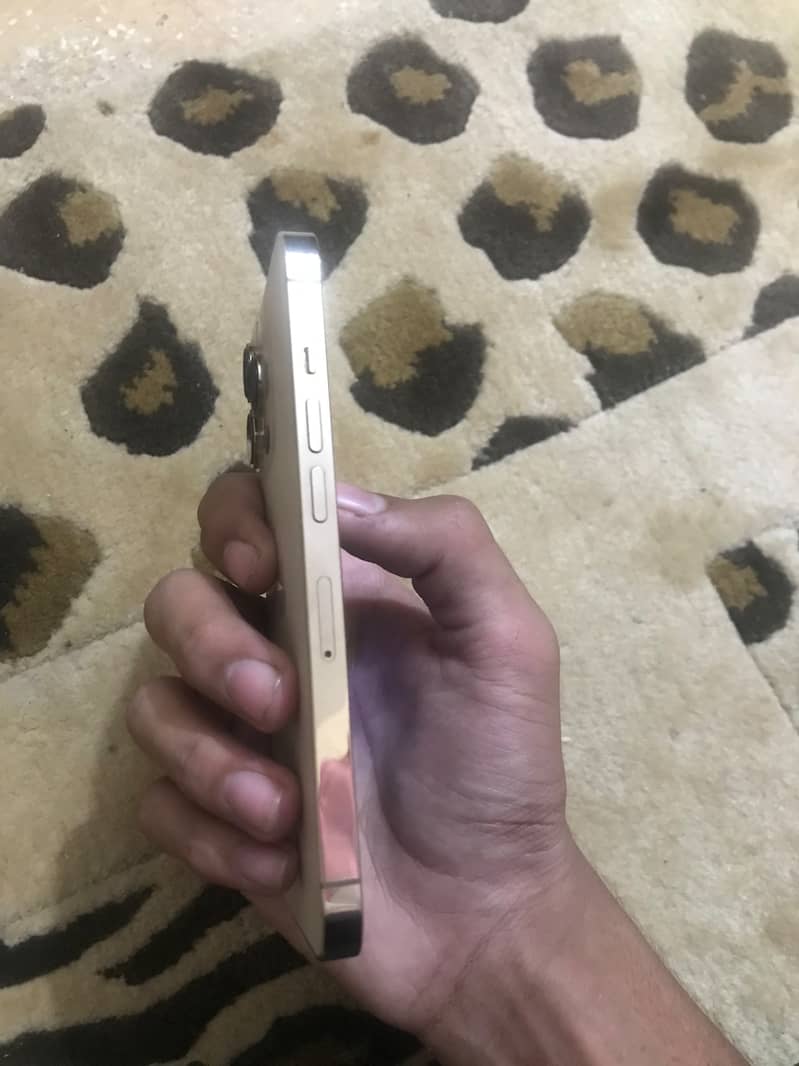 Apple iPhone 13 Pro 5