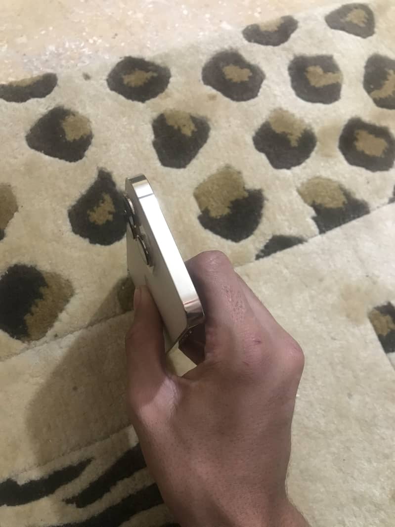 Apple iPhone 13 Pro 6