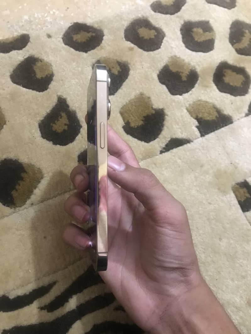 Apple iPhone 13 Pro 7