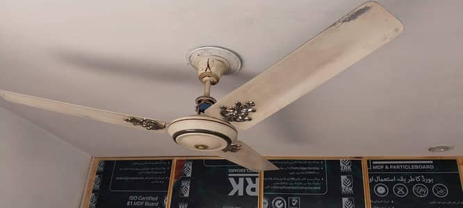 Royal ceiling Fan 56"