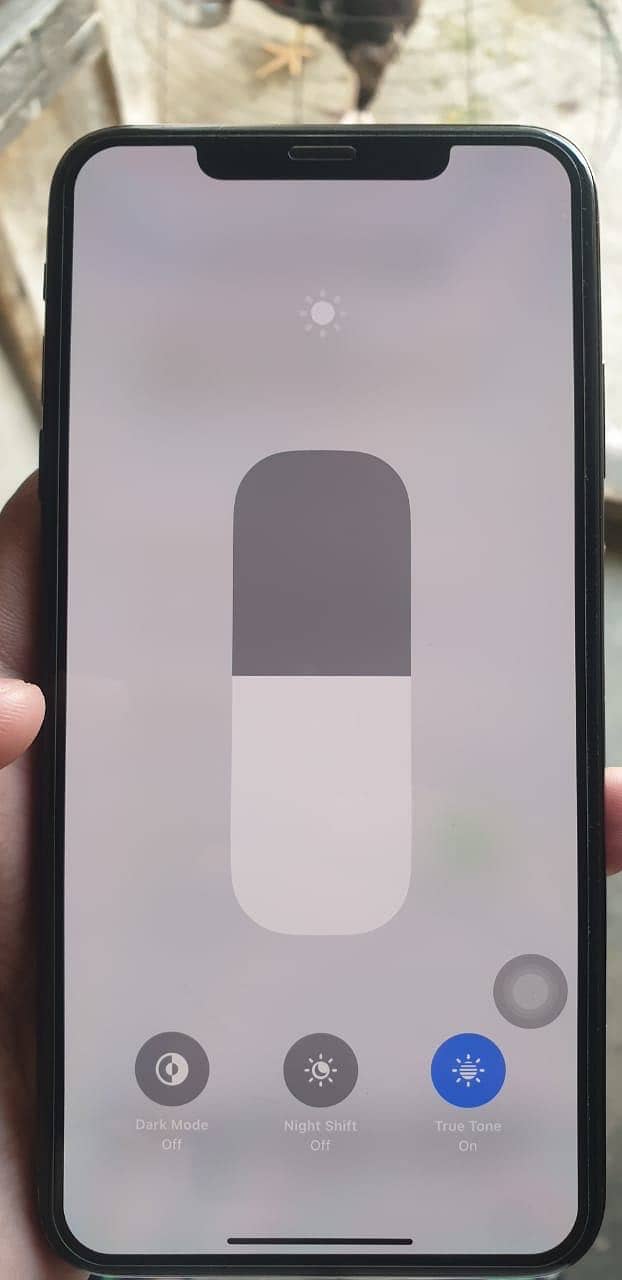 Apple iPhone XS Max 10
