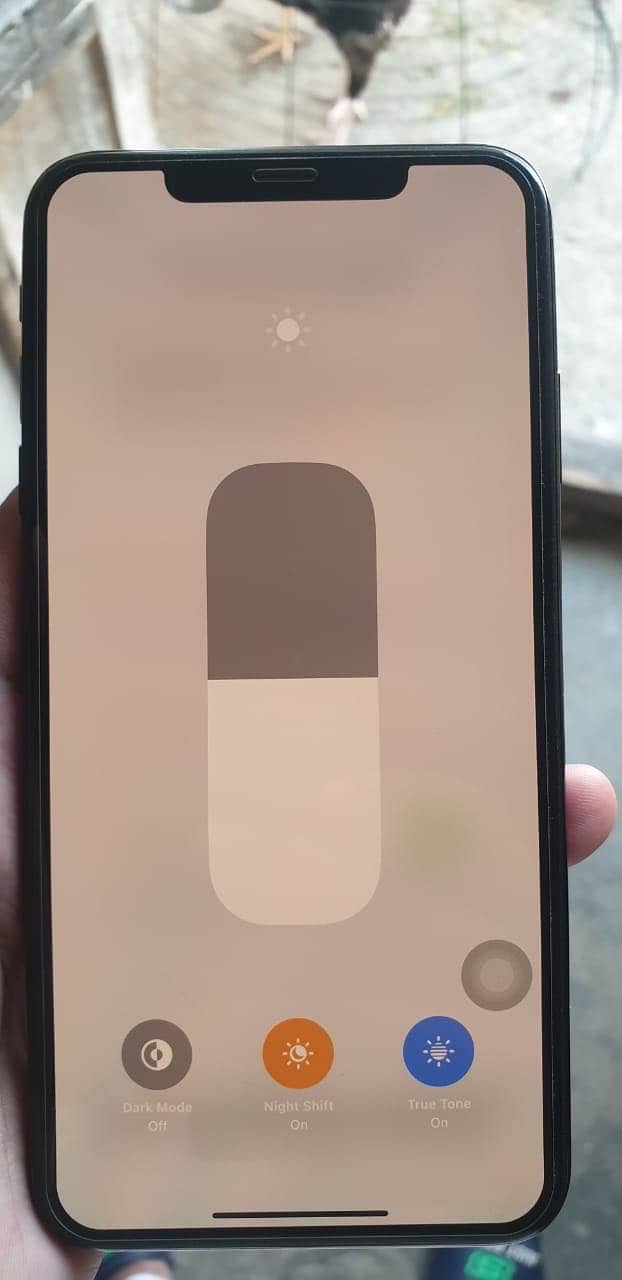 Apple iPhone XS Max 12