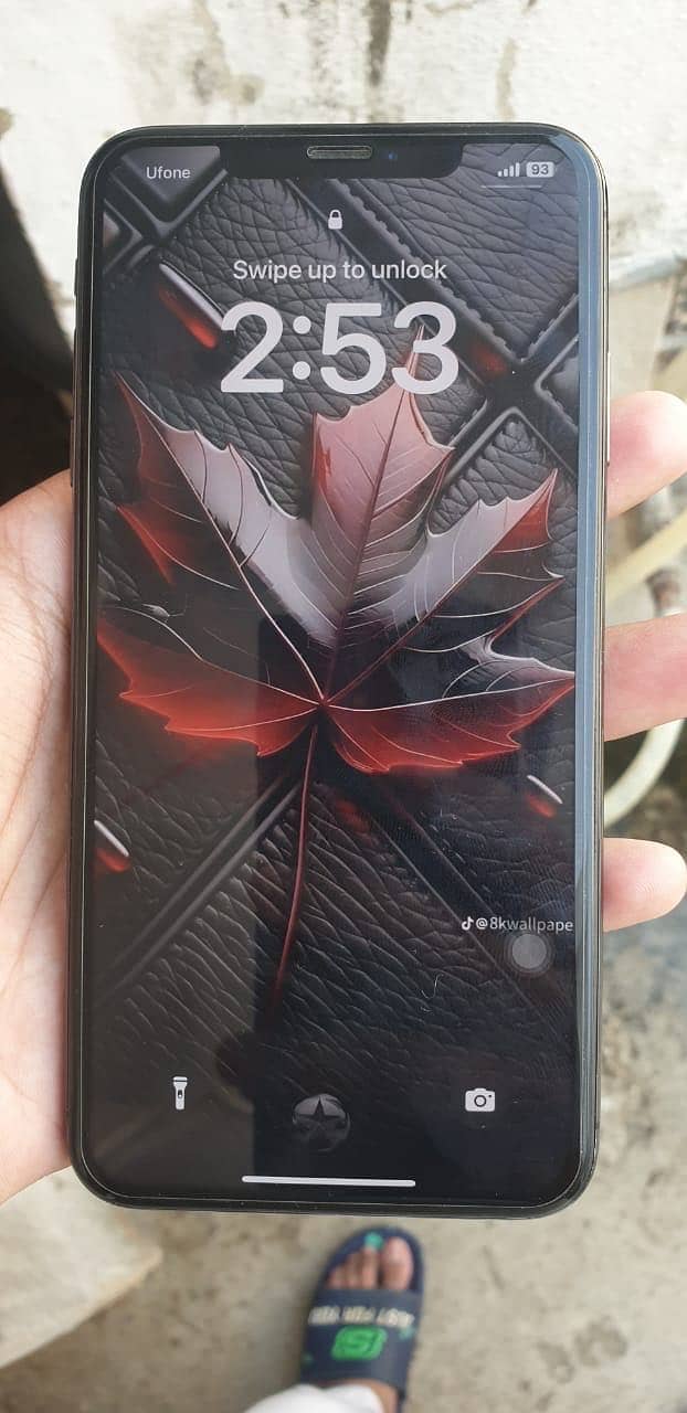Apple iPhone XS Max 2