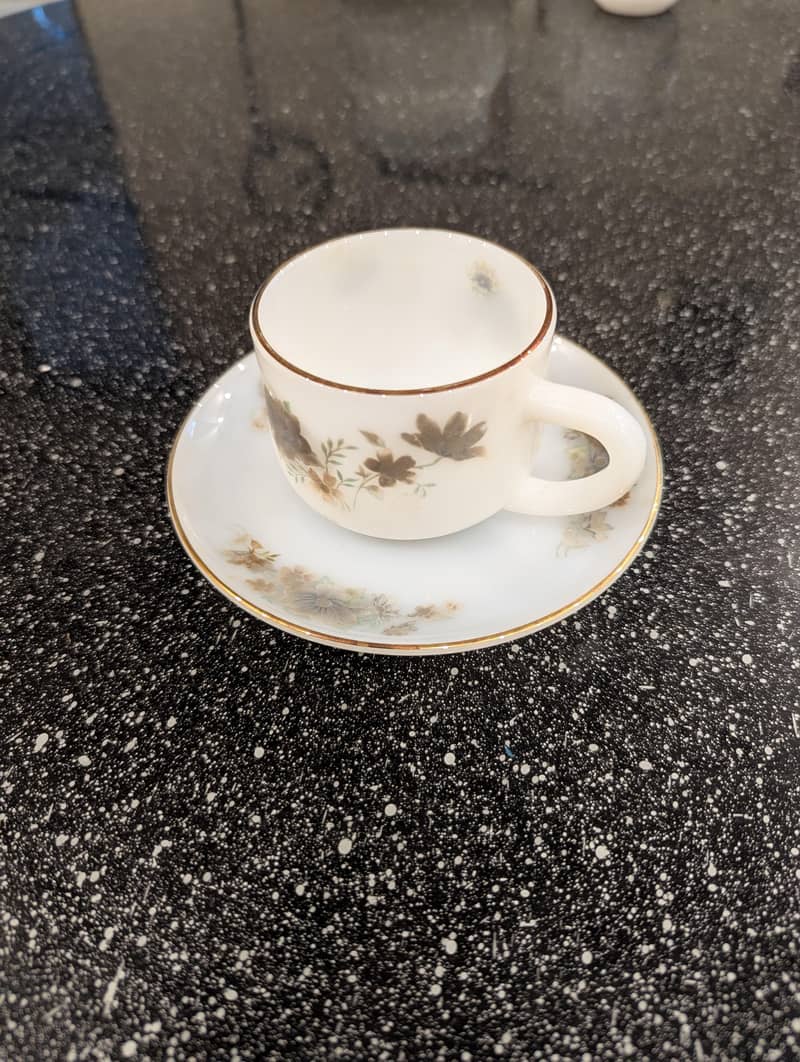 Dinner Set 2