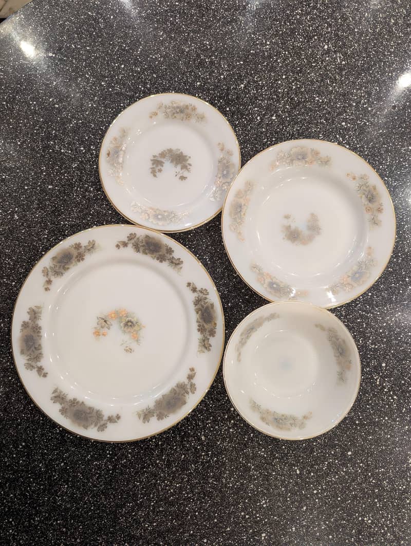 Dinner Set 6