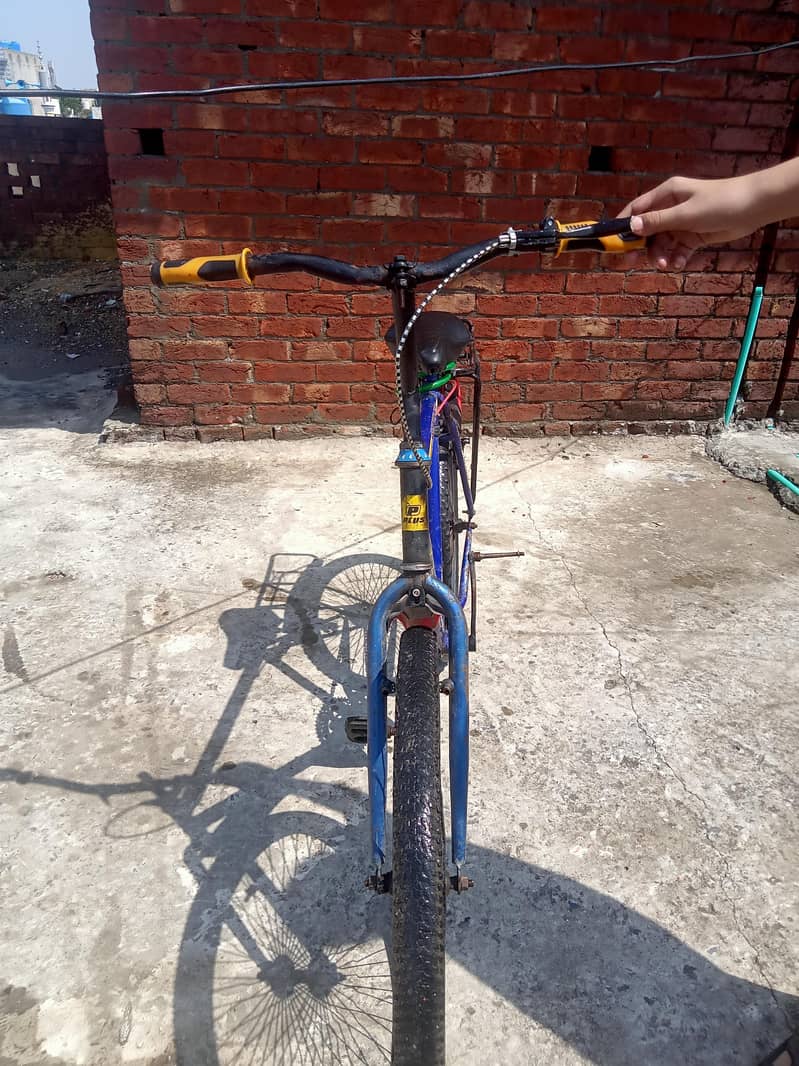 mountain cycle 2