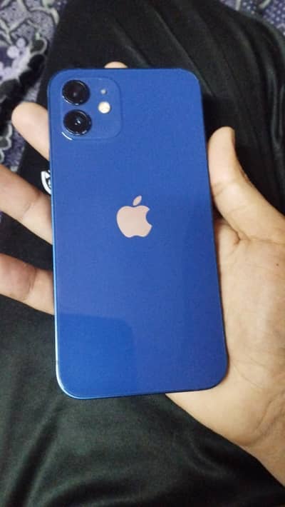 iPhone 12