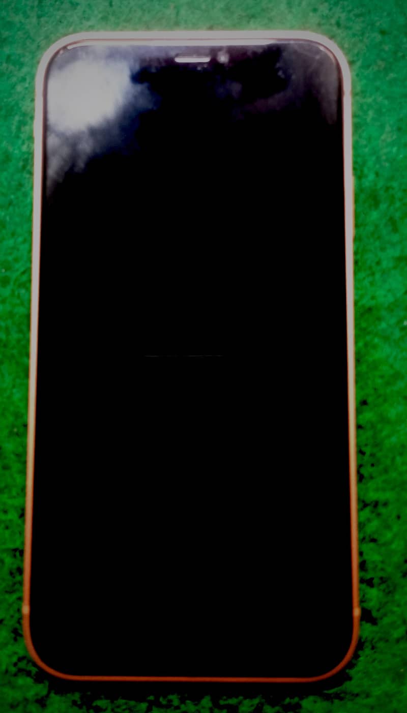 Apple iPhone 11 1