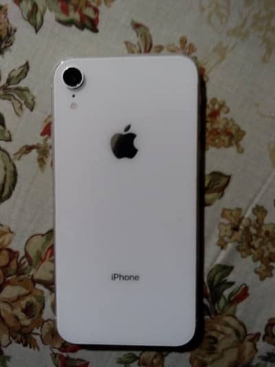 iPhone XR