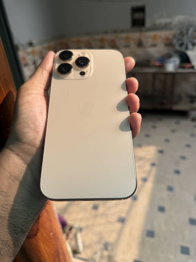 iPhone 16 Pro Max 1