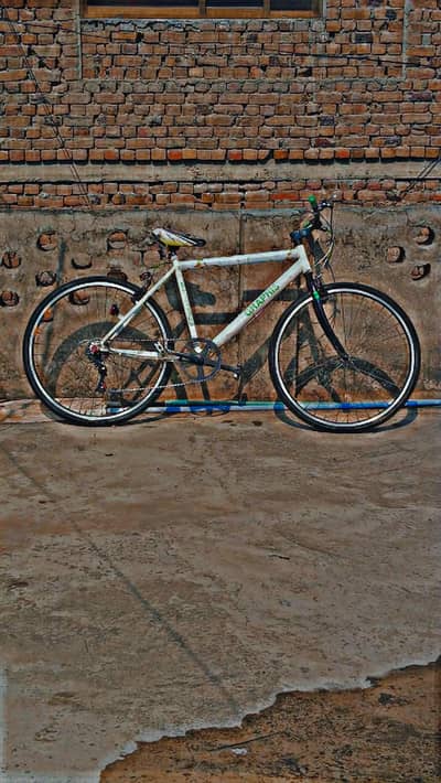 race cycle for urgent sale