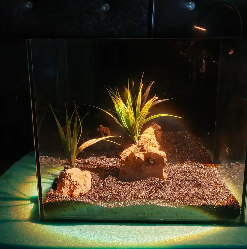 Aquarium Marine theme (New) — photo 4