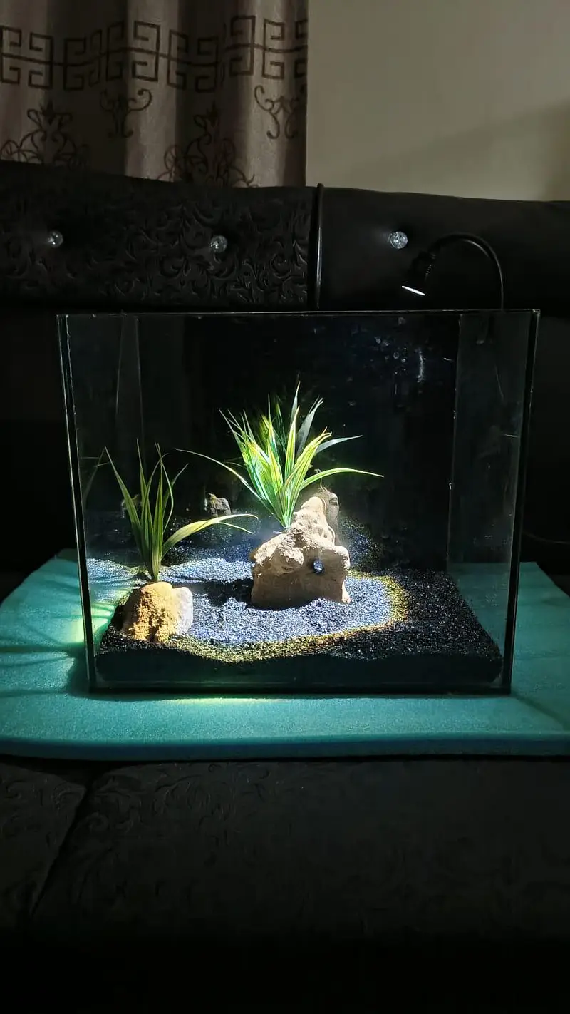 Aquarium Marine theme (New) — photo 5