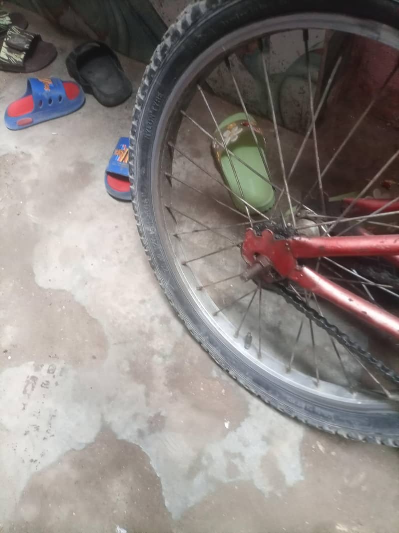 bcyle 5