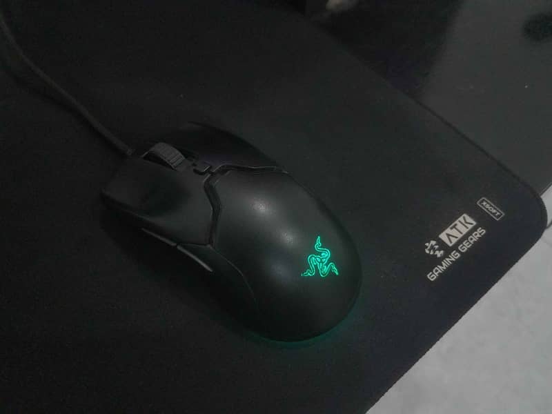 Razer Viper Mini 0