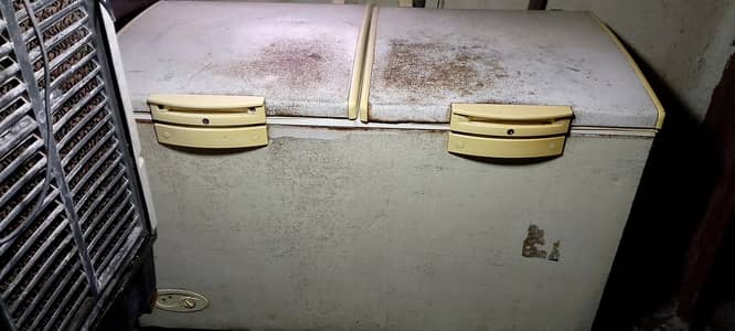 Waves 2 Door Deep freezer