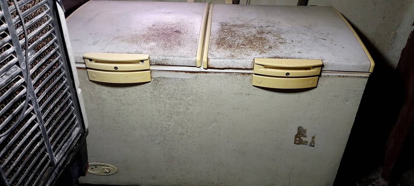 Waves 2 Door Deep freezer 0