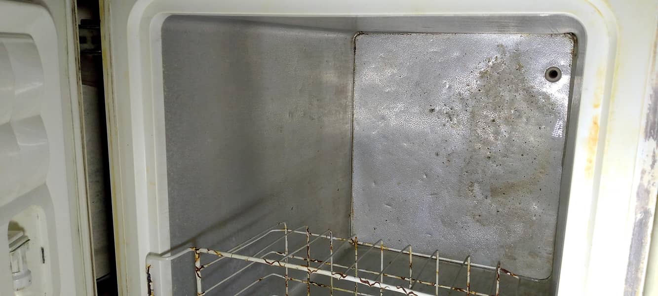Waves 2 Door Deep freezer 2