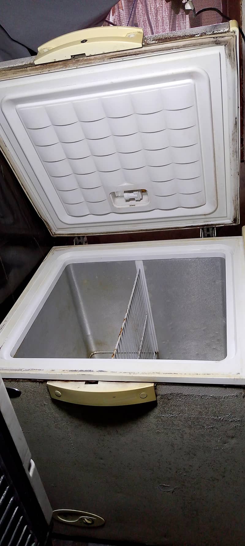 Waves 2 Door Deep freezer 3