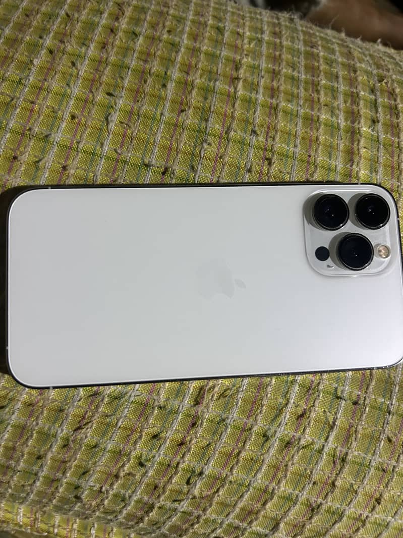 Apple iPhone 13 Pro Max 1