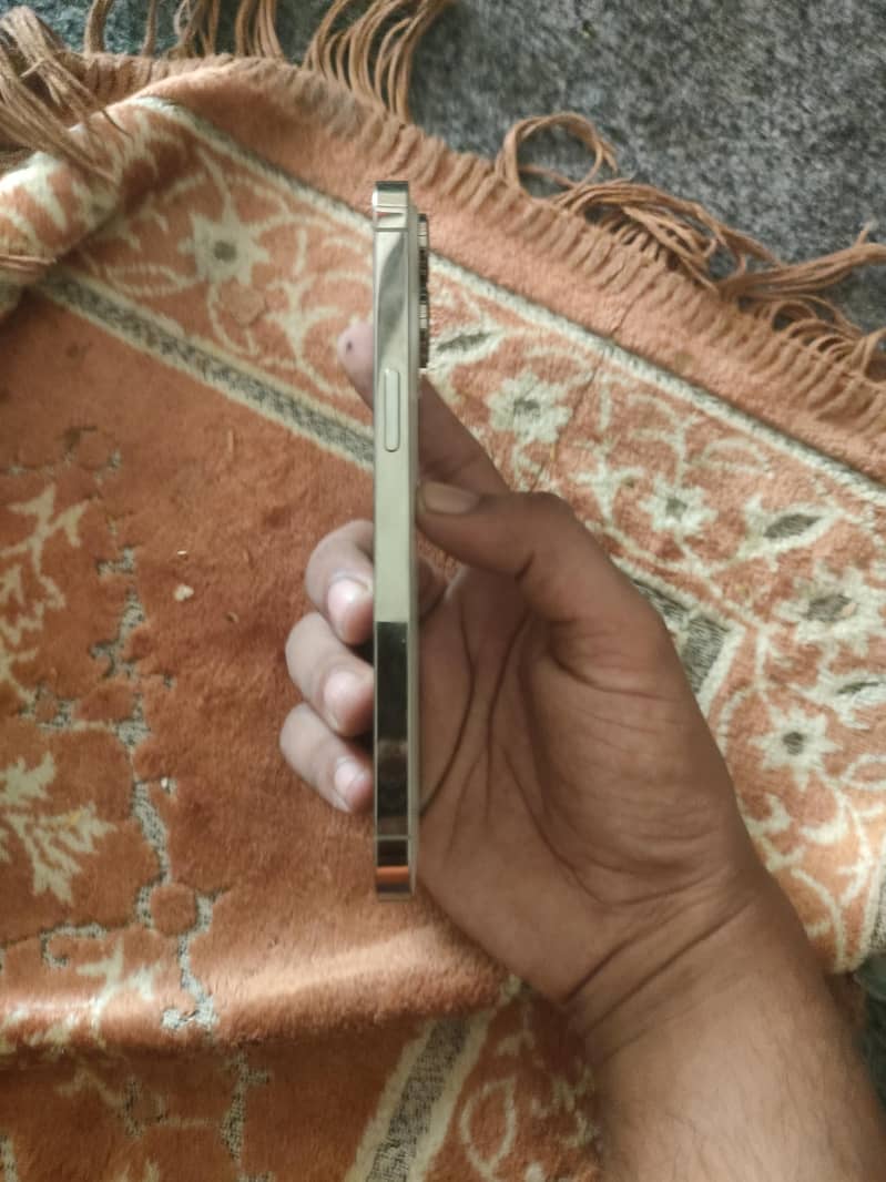 Apple iPhone 14 Pro Max 3