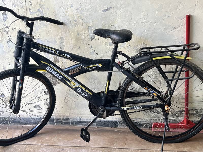 Sumac Bicycle 1