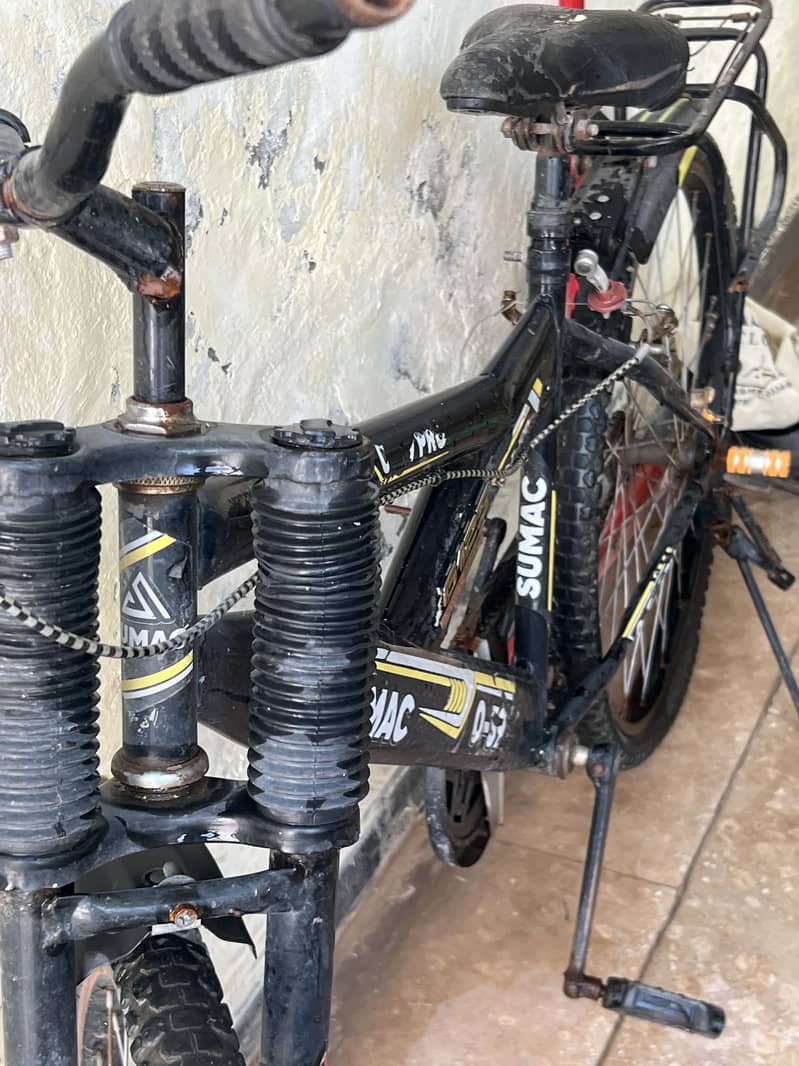 Sumac Bicycle 2