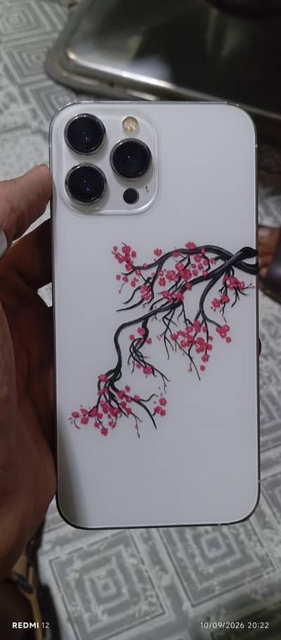 Apple iPhone 13 Pro Max