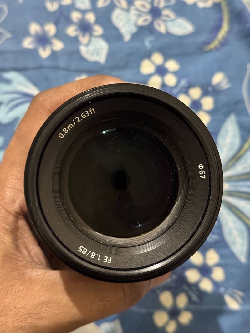 sony 85mm 11