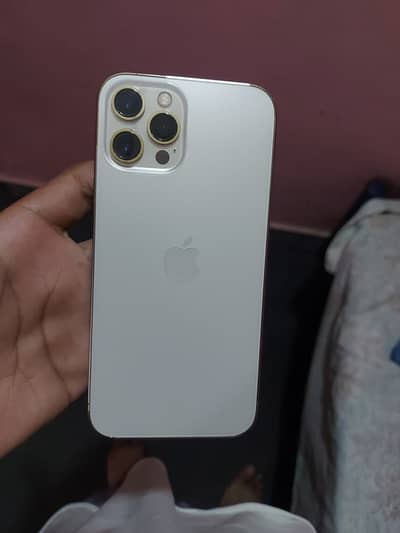 Apple iPhone 12 Pro Max