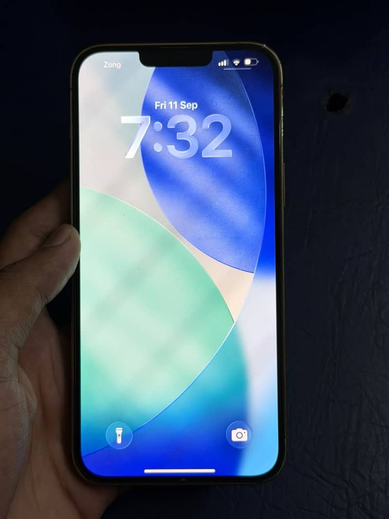 Apple iPhone 13 Pro Max 1